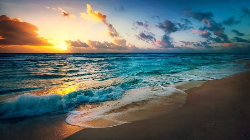 Evening Relaxation
