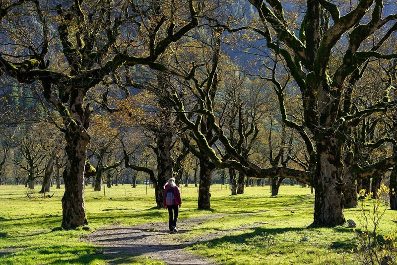 Mindful Walking in Nature